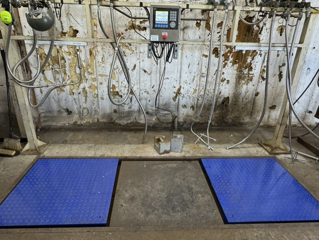 Dual Floor Scale Installation