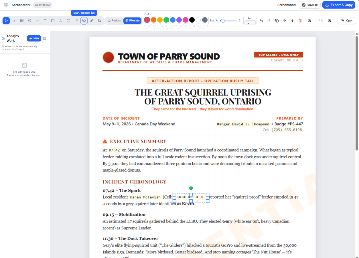 Annotate and redact
