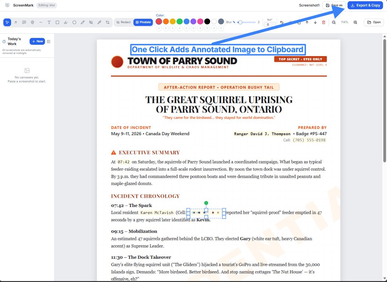 ScreenMark editor preview