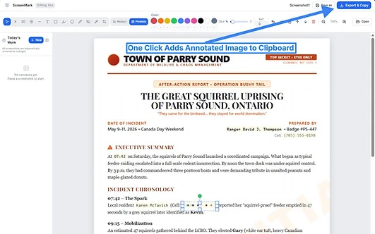 ScreenMark screenshot editor