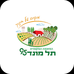 תל מונד 95