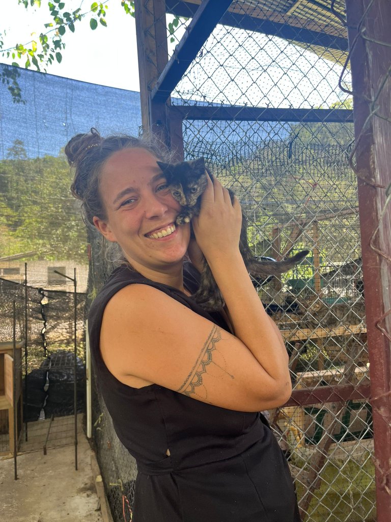 Visit Our Cat Sanctuary in Cahuita, Costa Rica