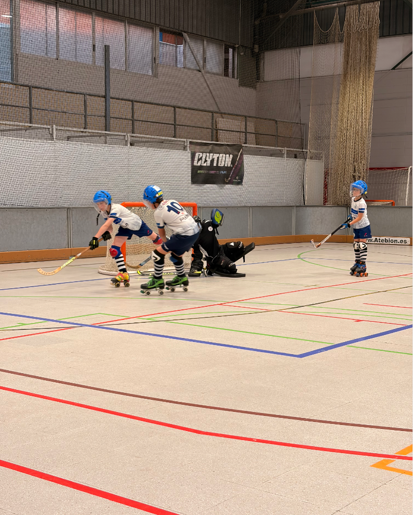 Hoquei patins 2