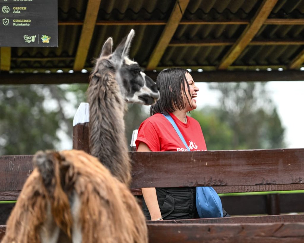 Llama con personas experiencia naturaleza