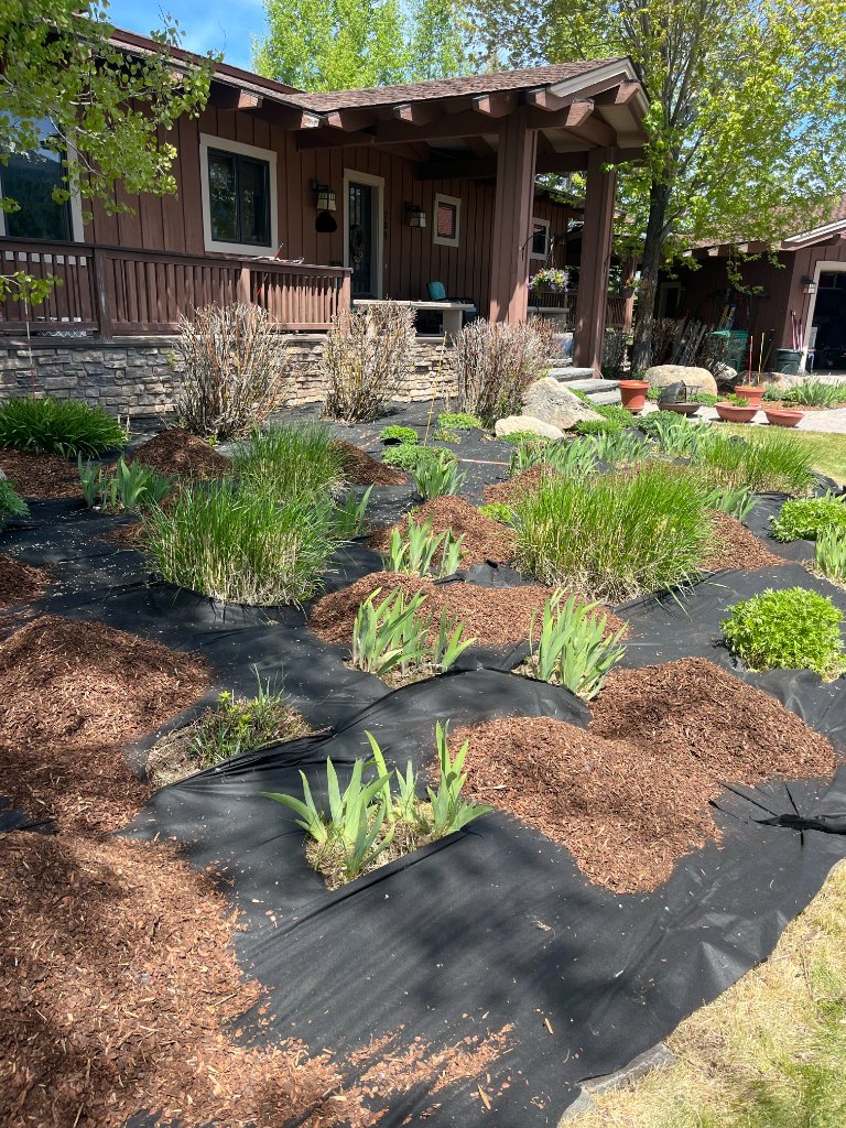 Softscaping & Planting Design