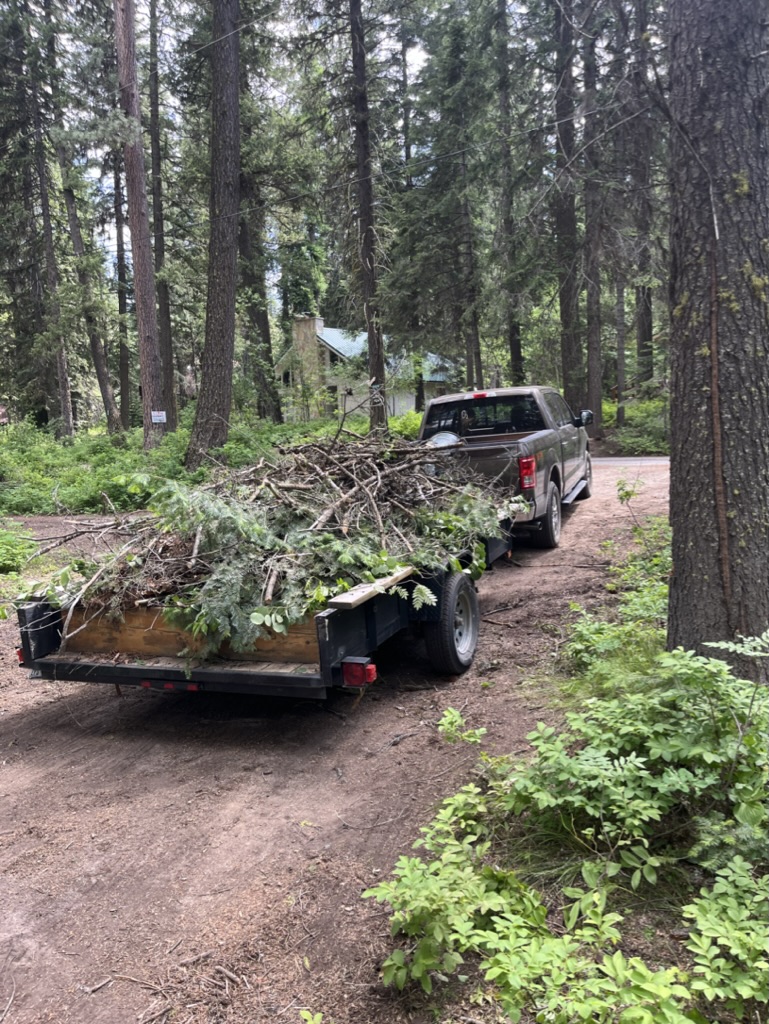 Yard Cleanup