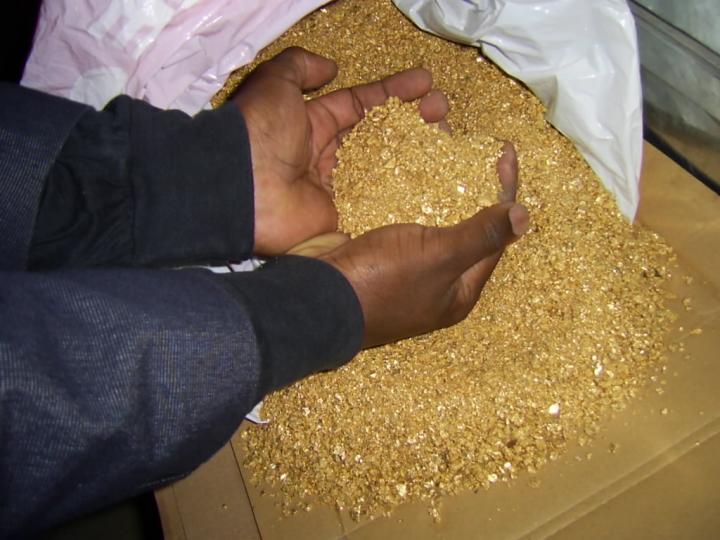 Gold dust and fine gold particles prepared for assay