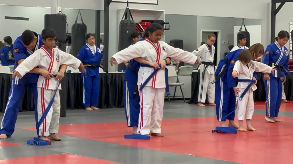 Blue Belt photo 2