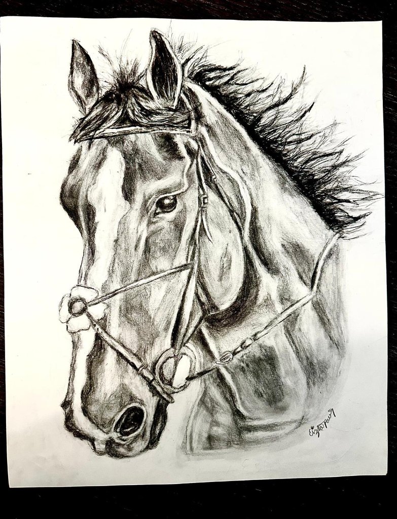 Horse Study Sketch