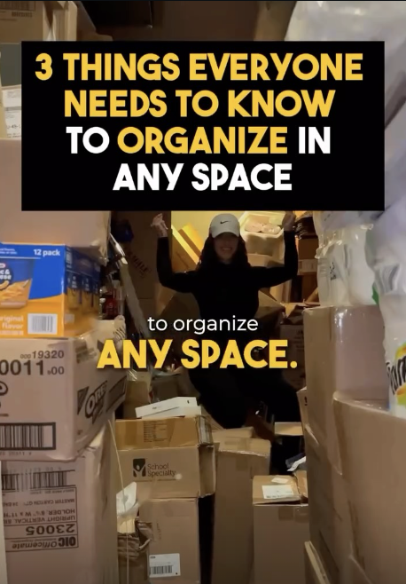 Organized Human 6