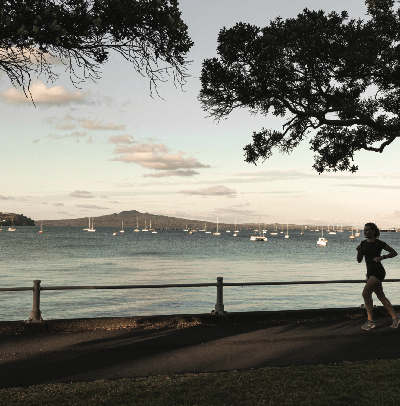 Aerial view of Parnell Auckland with harbour views and Rangitoto Island