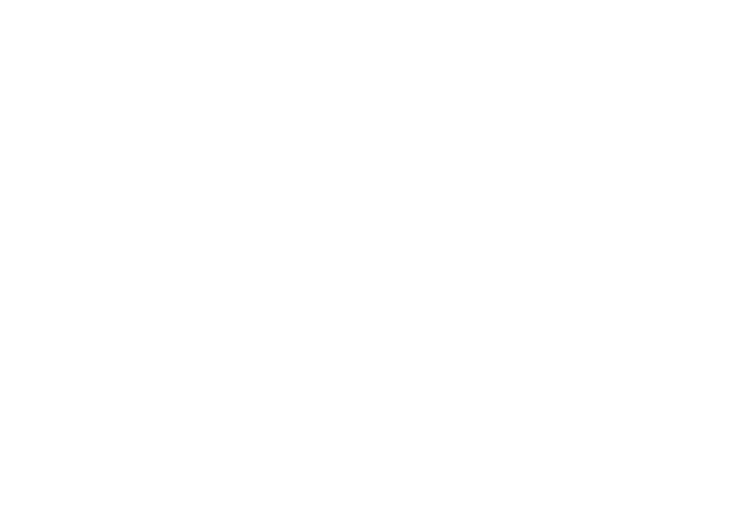 JetSet Intel