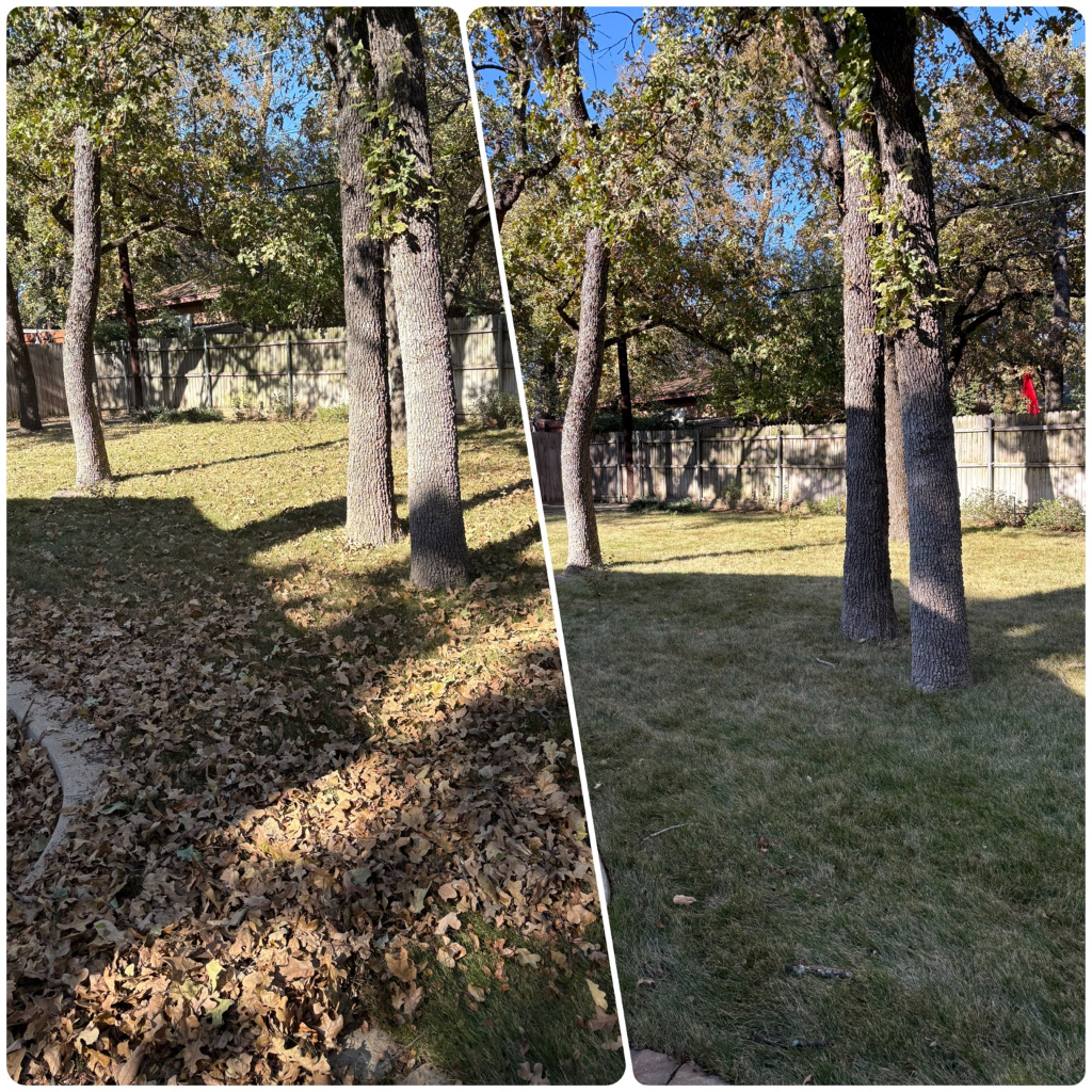 Bagless Leaf Removal