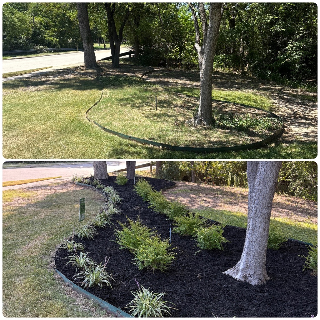 Flowerbed installation in Arlington TX with fresh mulch and seasonal color plants