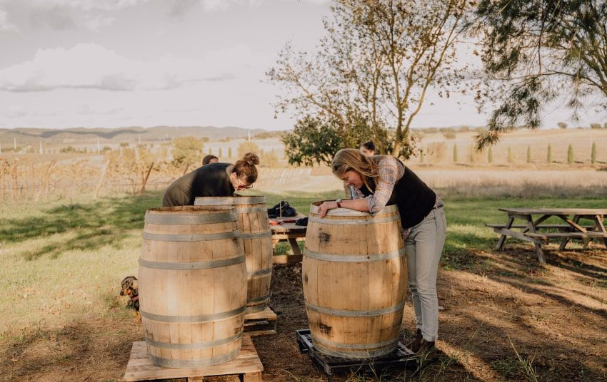 Alentejo Wine Journey 2