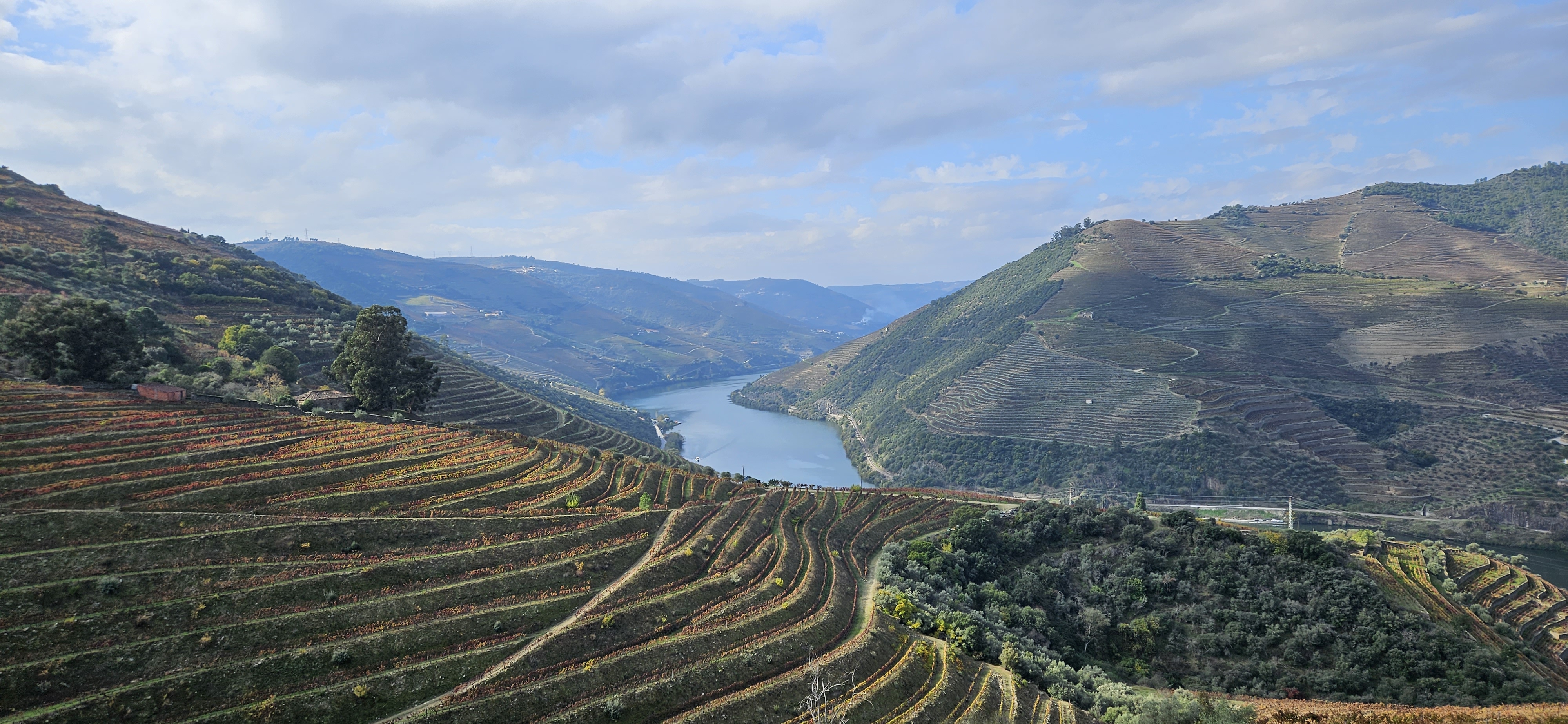 Romantic Winter in the Douro