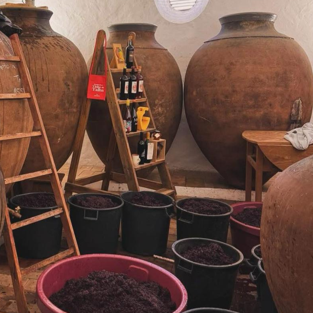 Alentejo Wine Journey 3