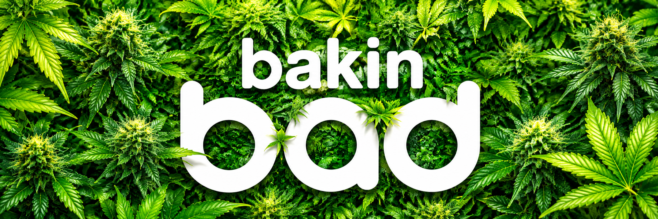 Bakin Bad Dispensary
