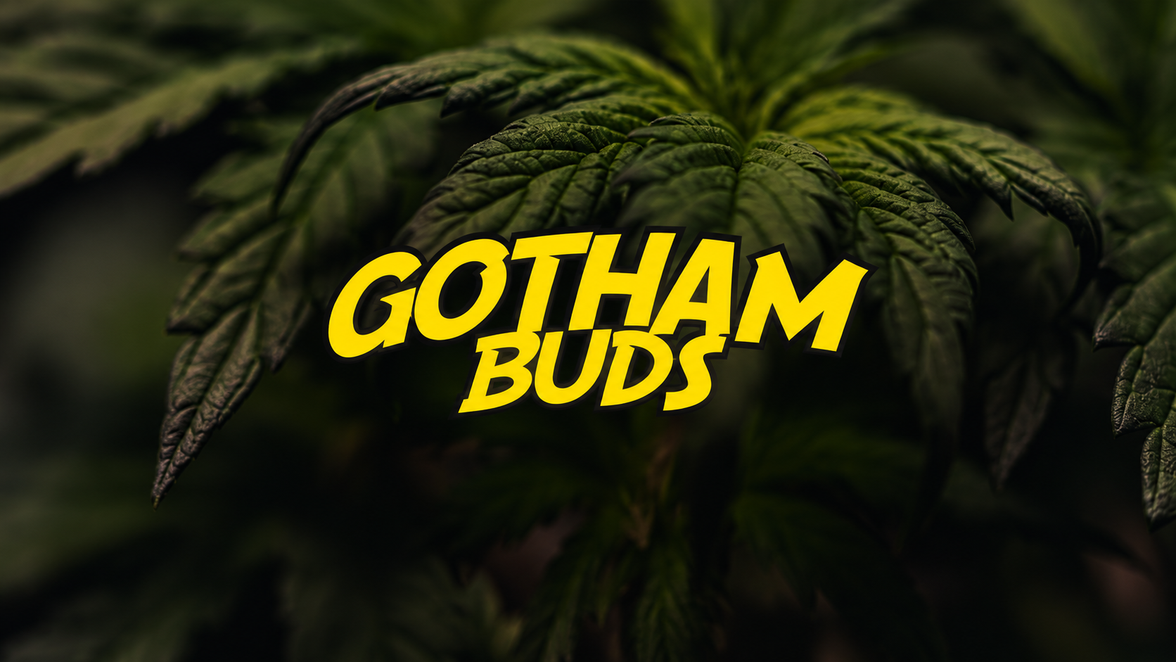 Gotham Buds — Harlem