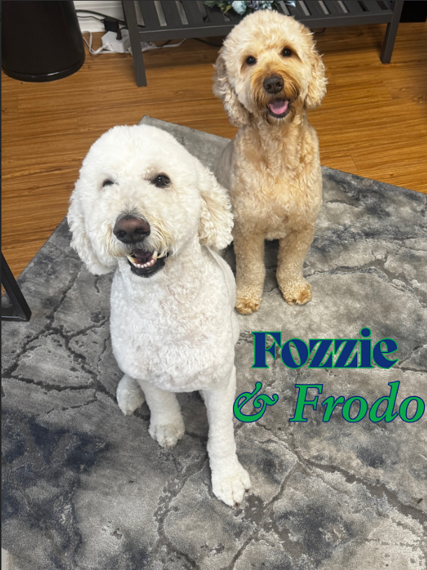 Fozzie & Frodo Eanes