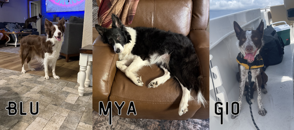 Mya, Blu & Gio