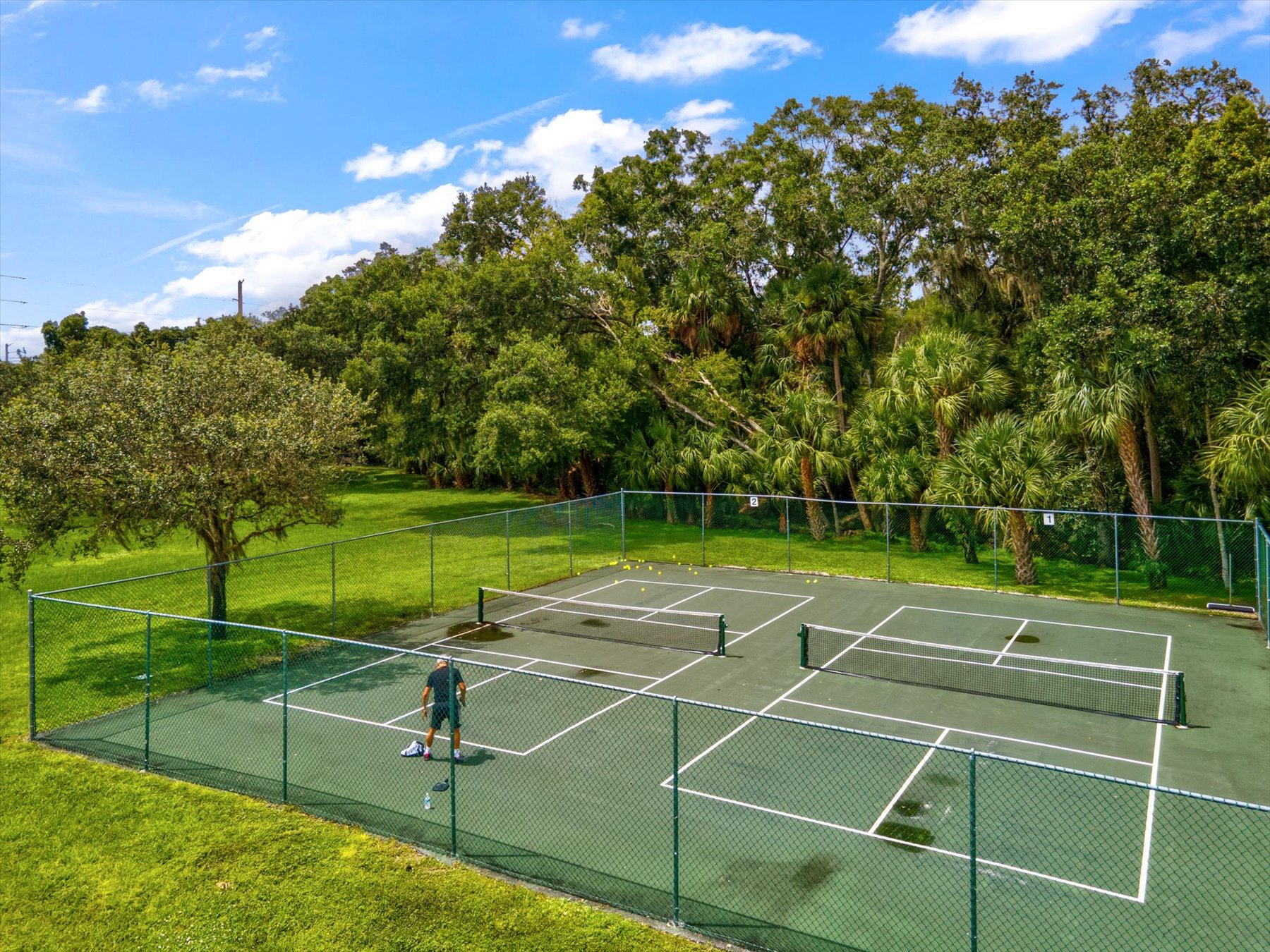 Tennis facilities tucked into the tree canopy