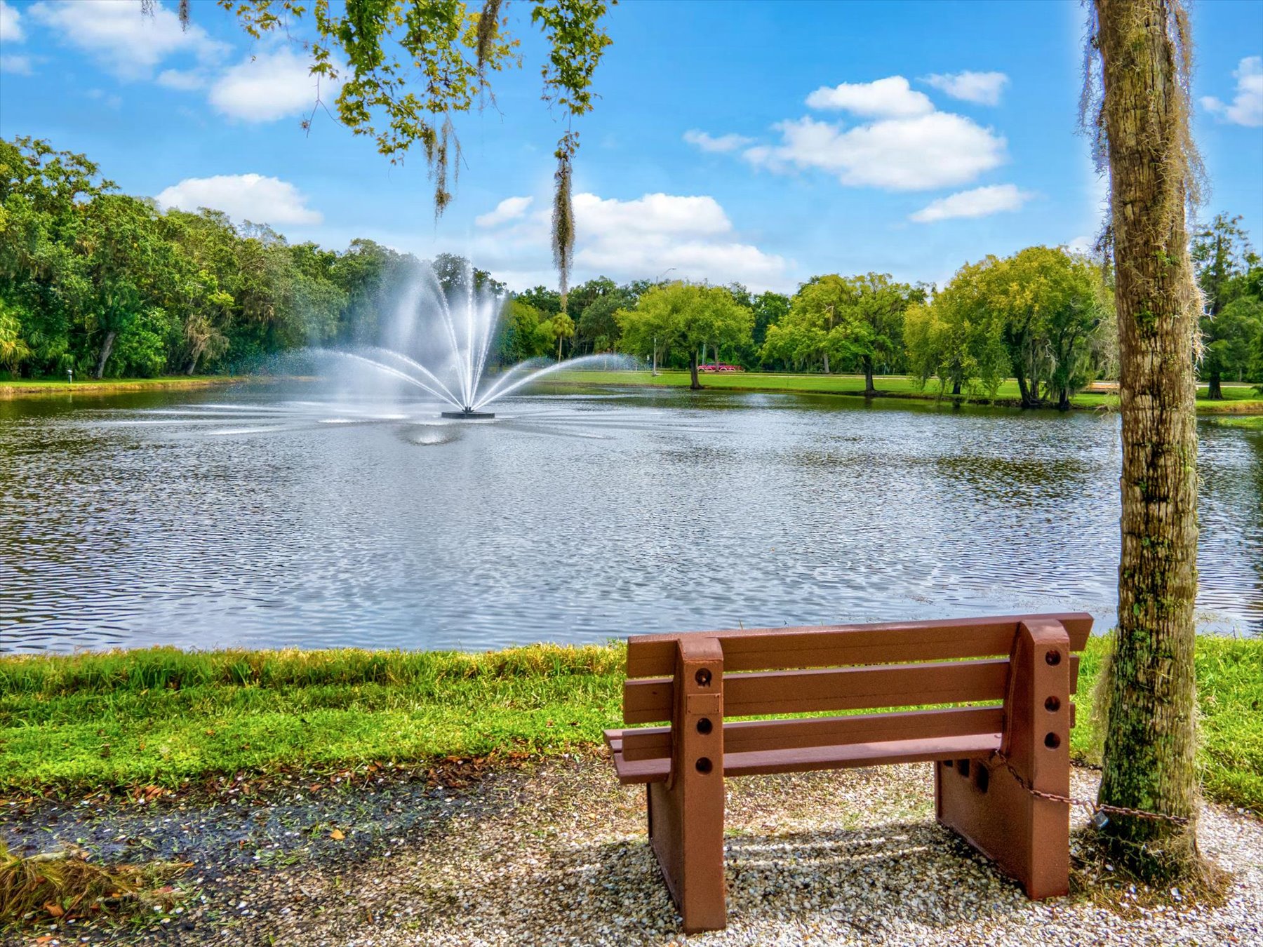 A quiet lake with fountain, one of The Meadows' walking destinations