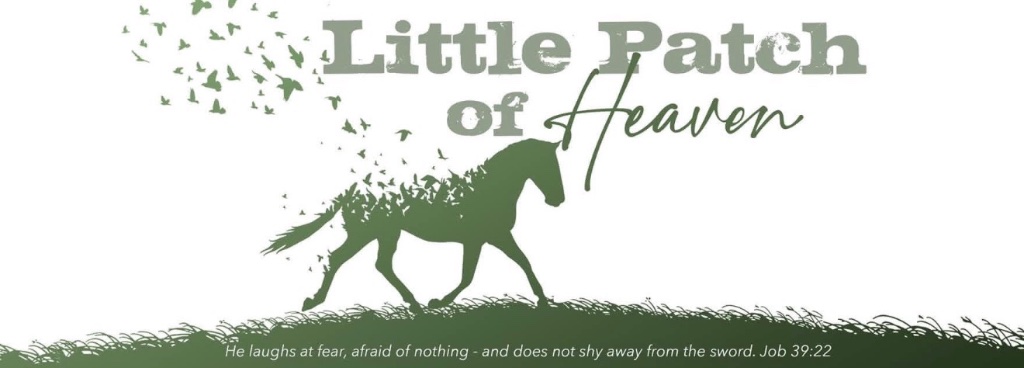 Little Patch of Heaven