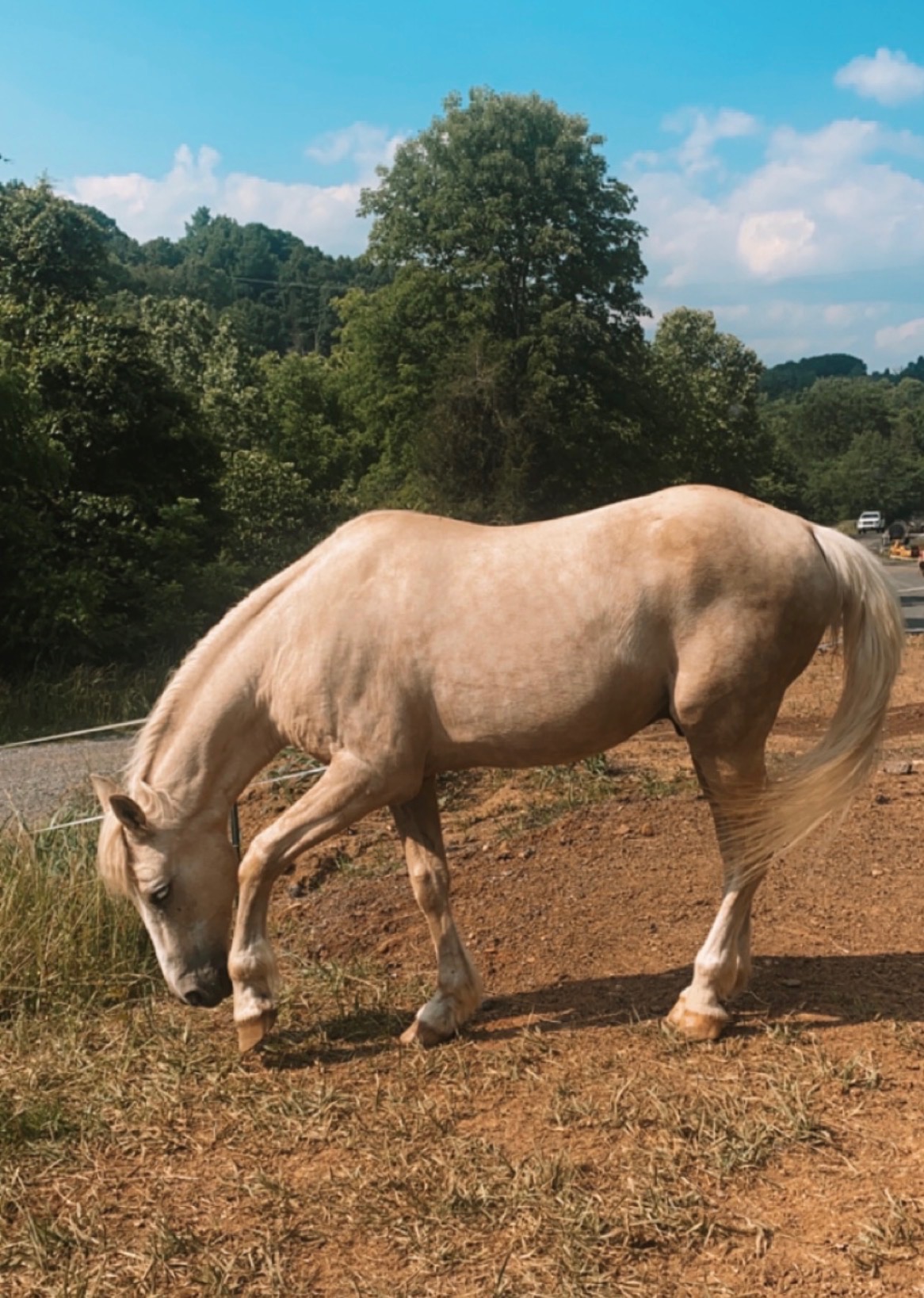 AFTER: Pegasus — healthy, working with children