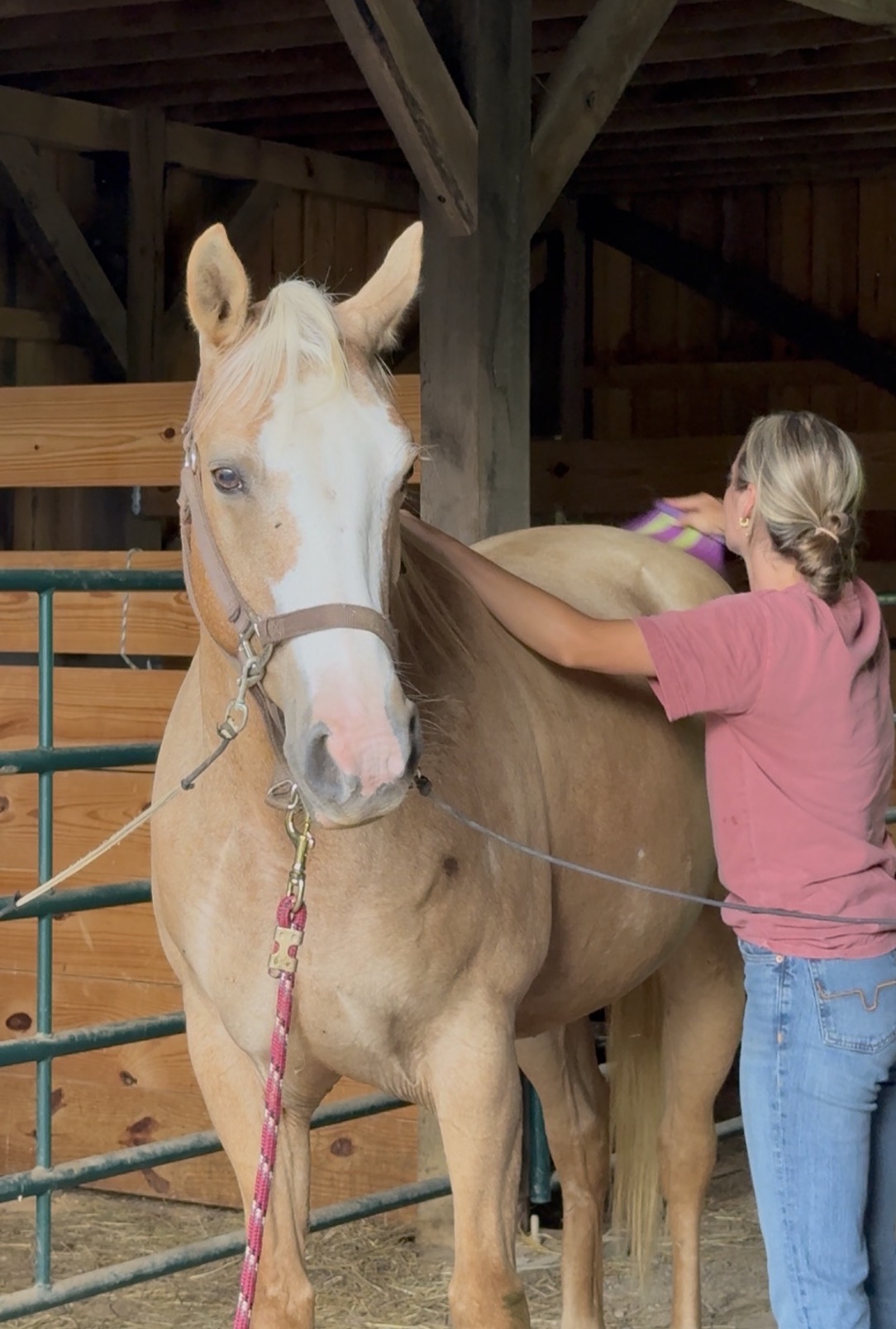 Equine-Assisted Experiences