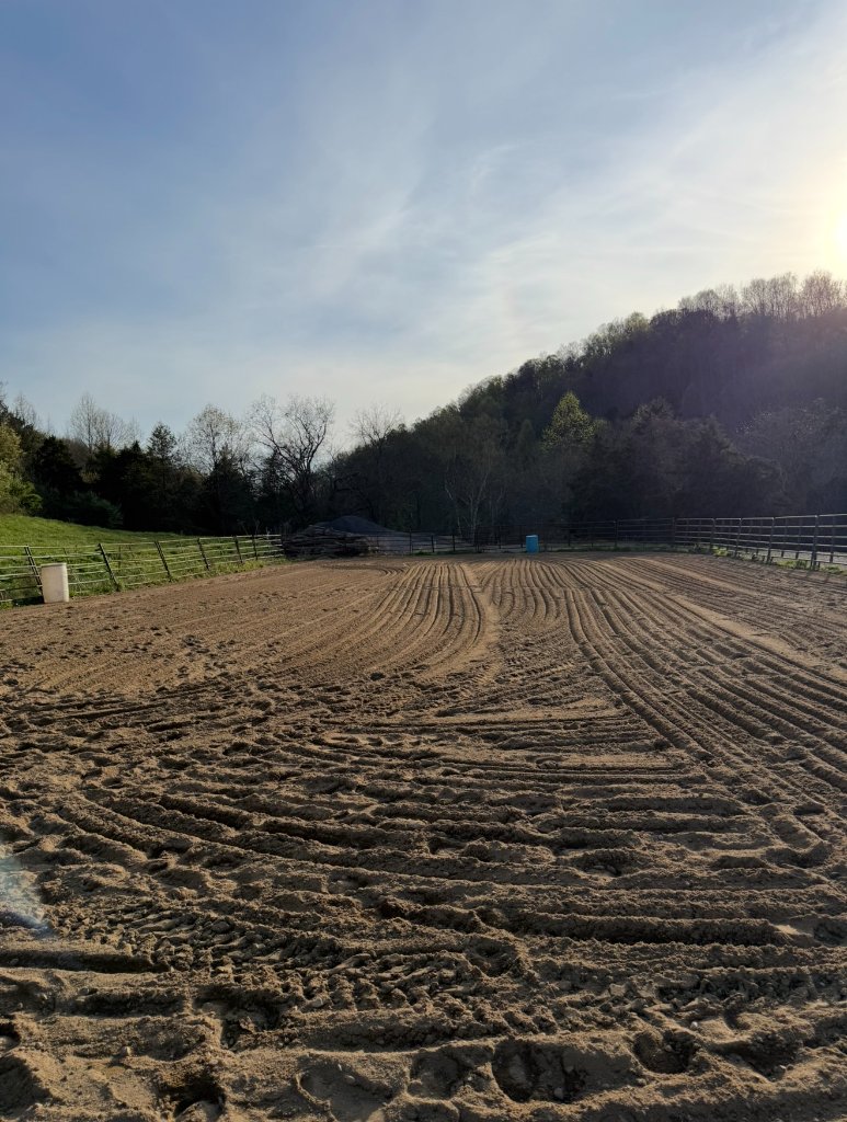 Groomed arena at Little Patch of Heaven