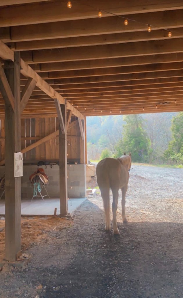Horse walking out of barn