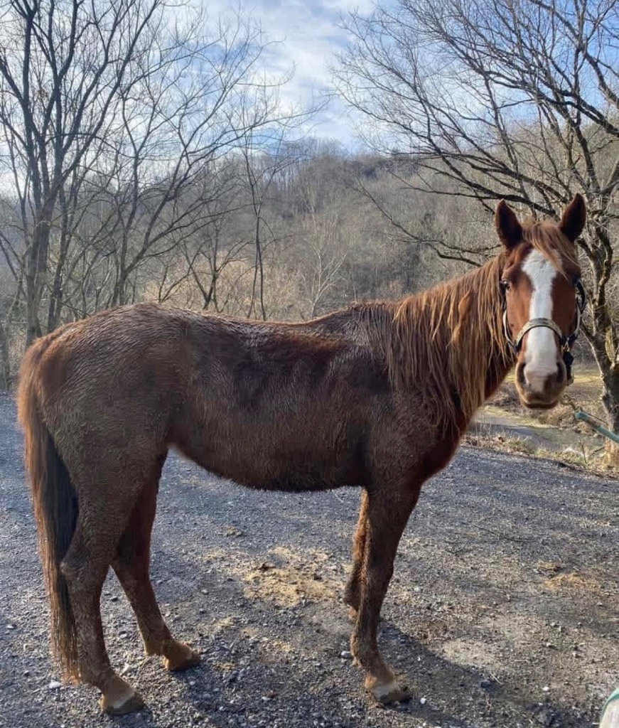 BEFORE: Baby — malnourished, knee abscess