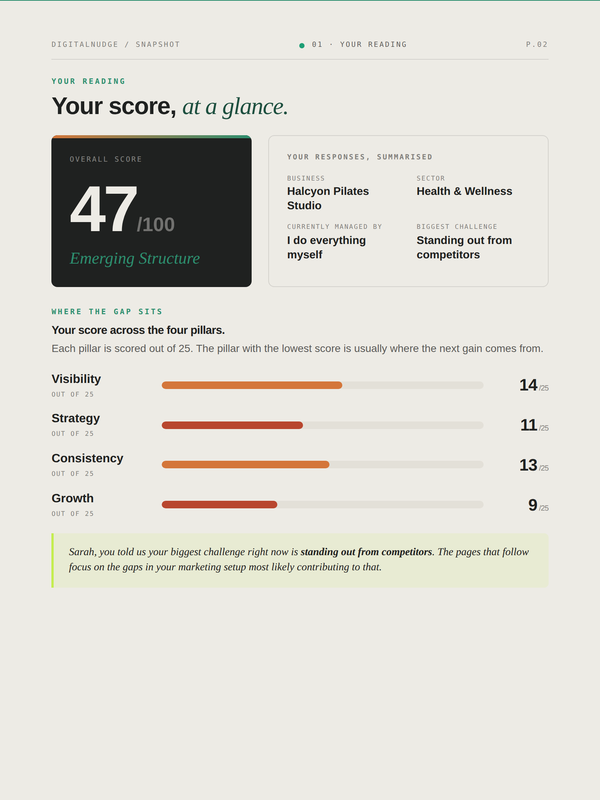Snapshot report score page
