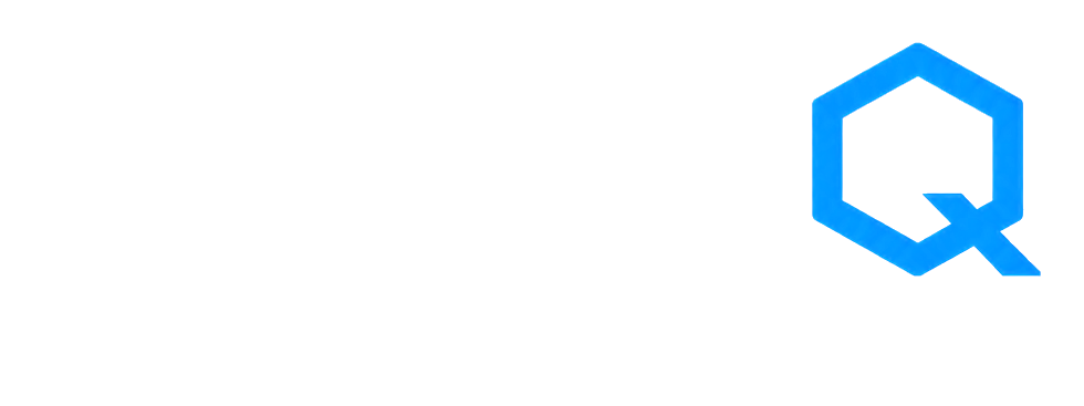 EyeQ Vision