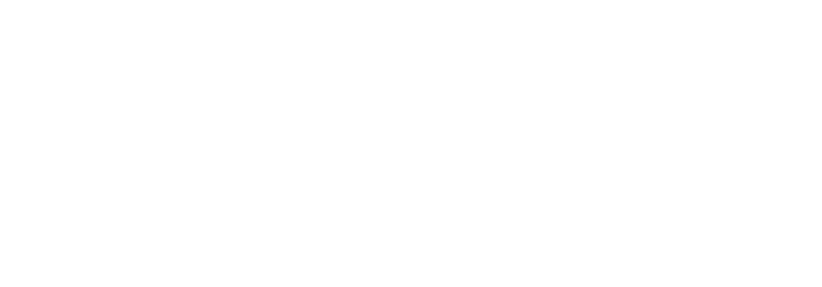Bina Logo