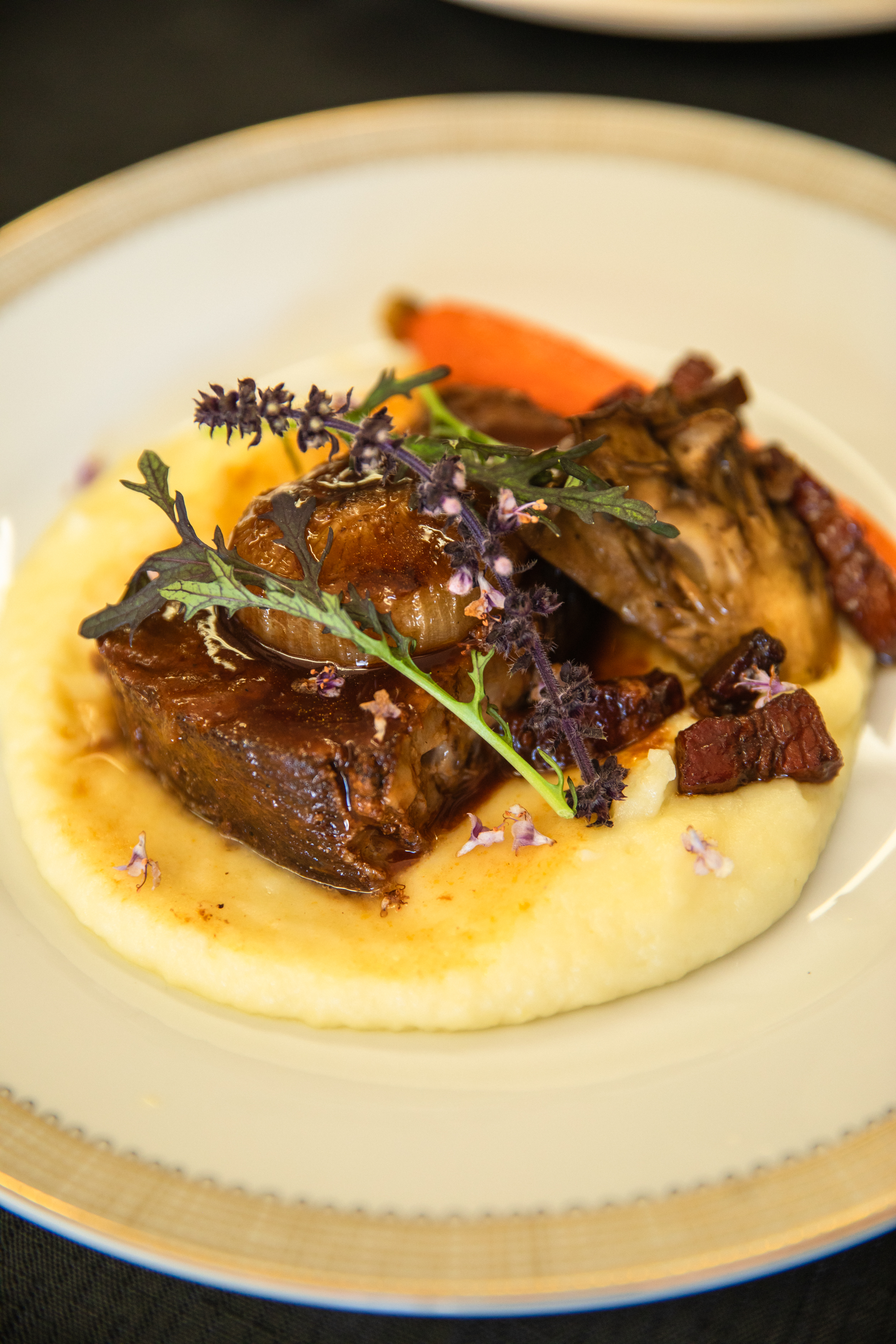 Plated beef short rib bourguignon with pomme purée, pearl onion, and maitake mushroom on a gold-trimmed plate