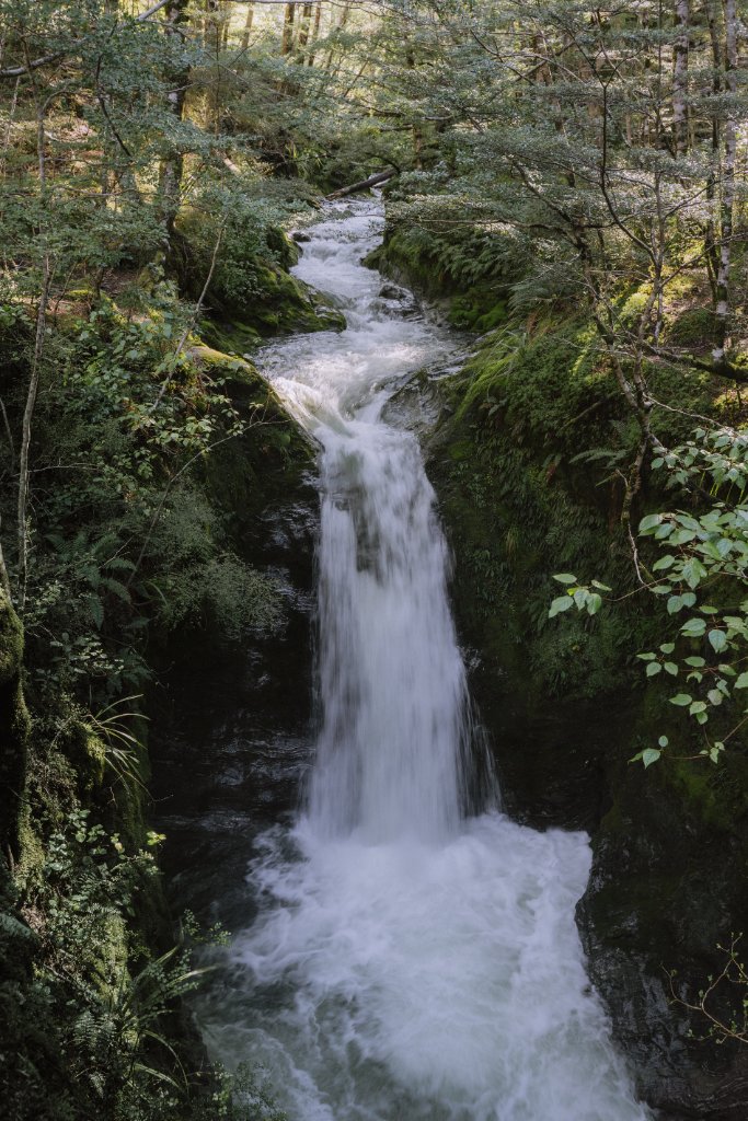 Washington State landscape