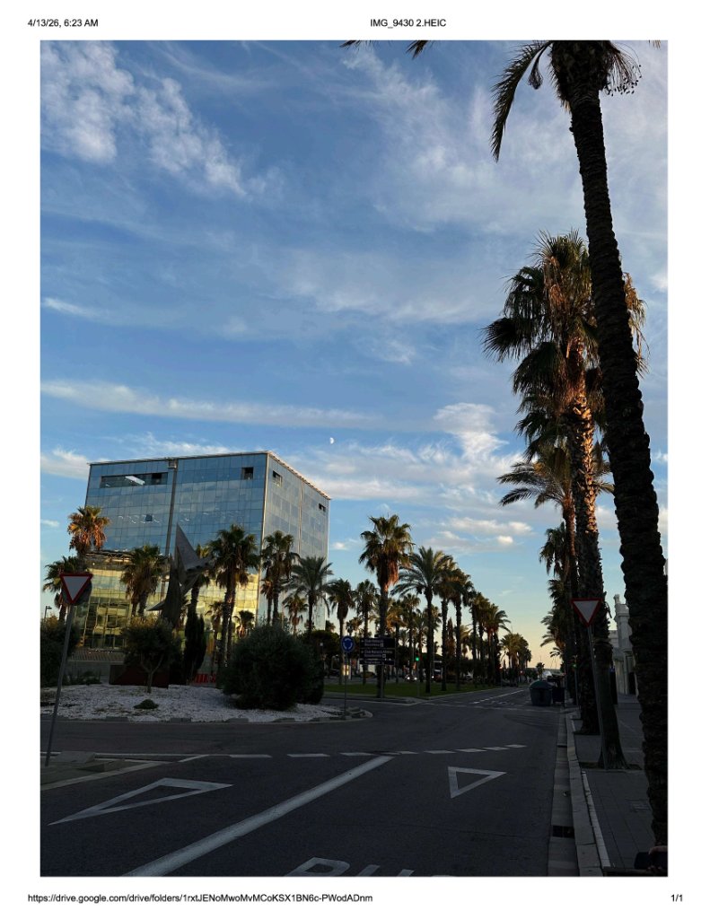 Barcelona palms