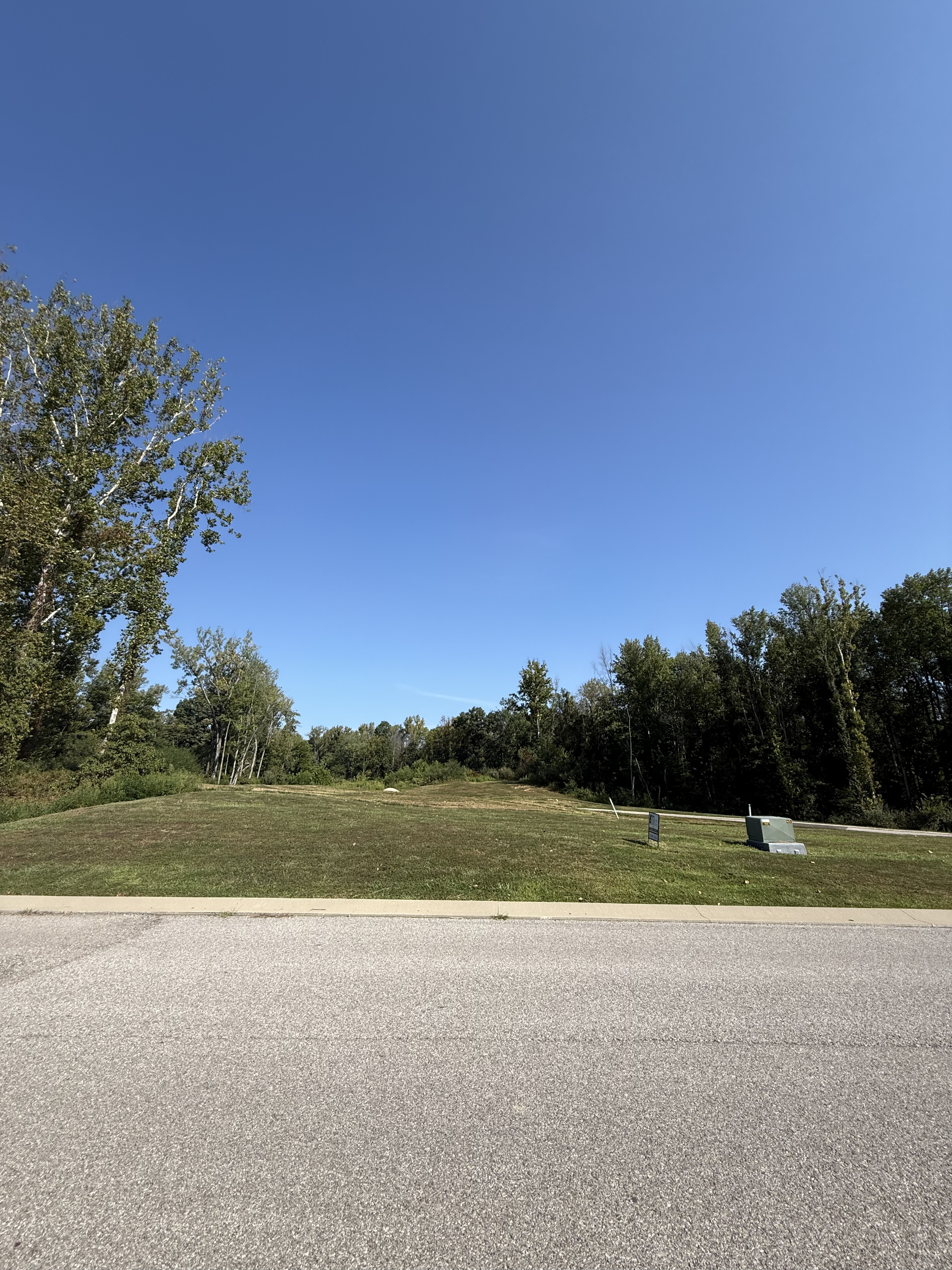 Lot #73