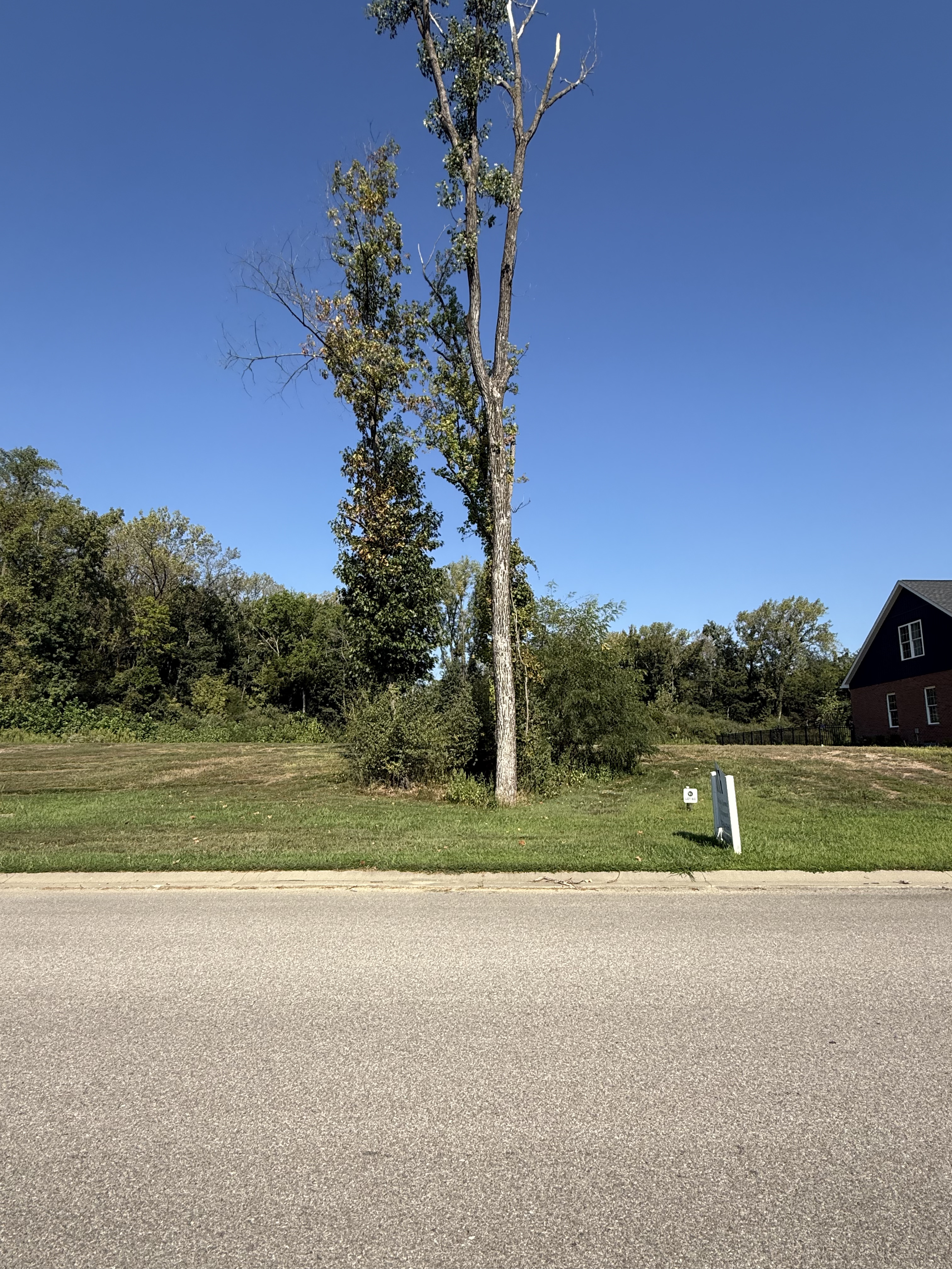 Lot #61