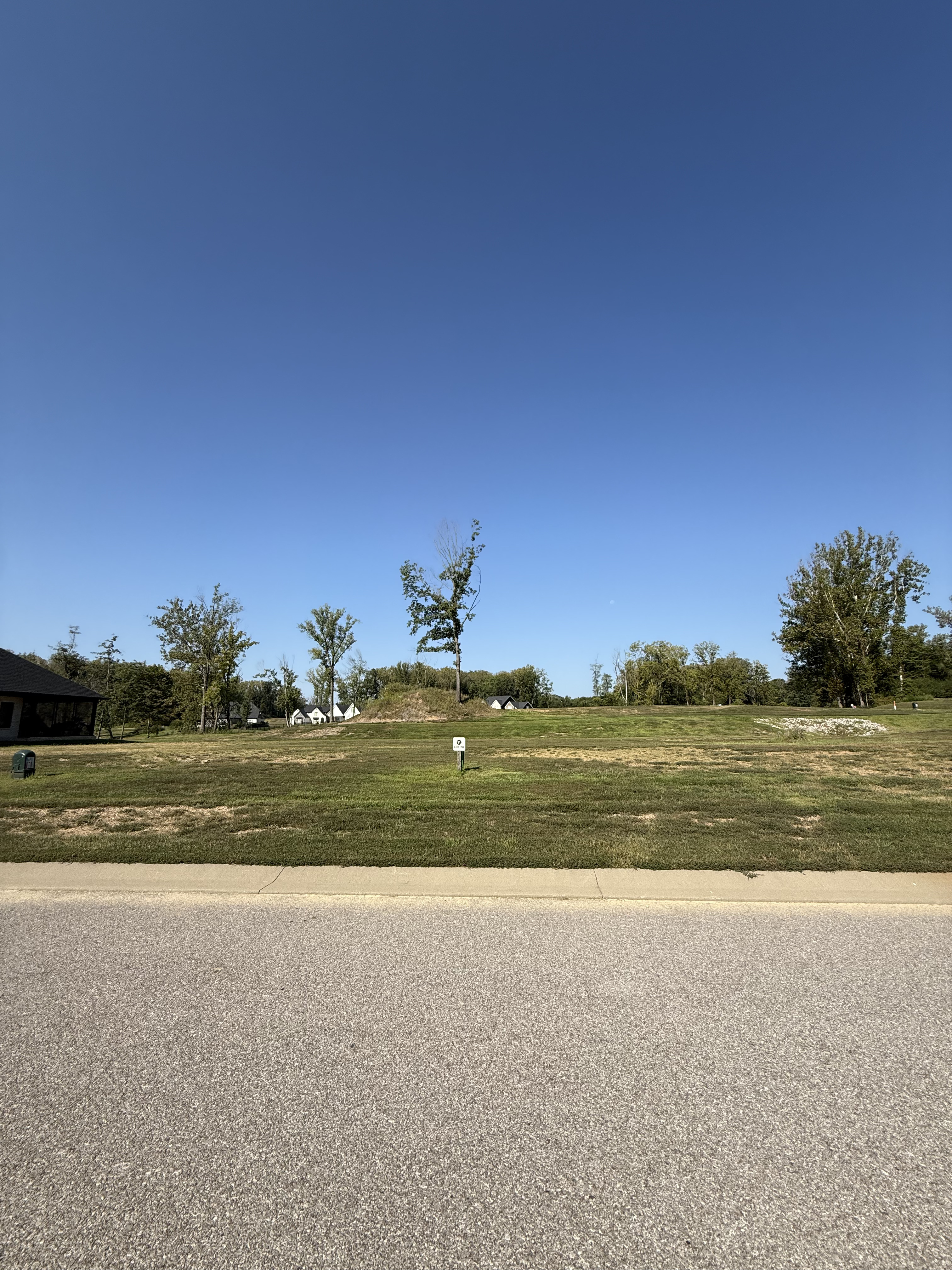 Lot #78