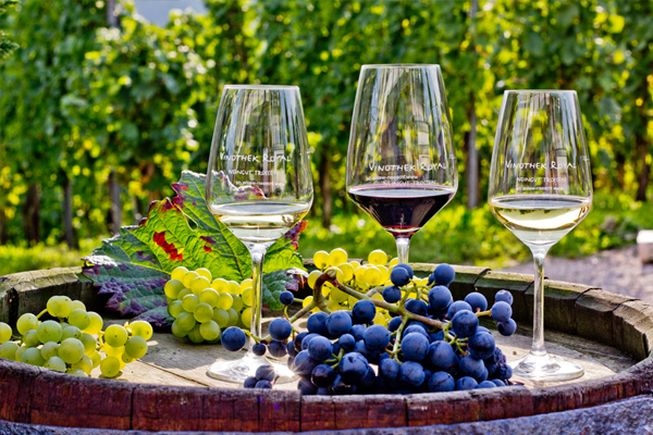 Weinprobe