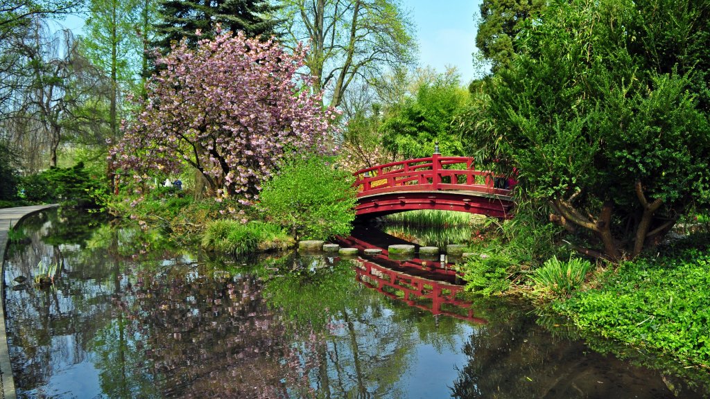Japanischer Garten