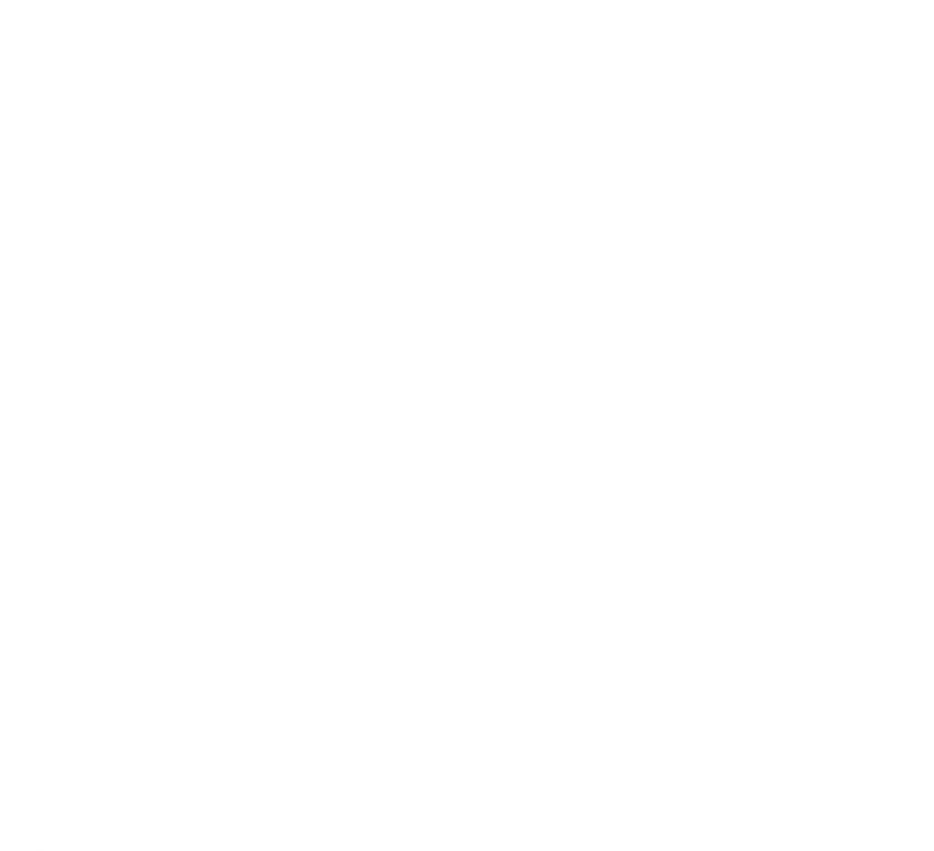 SYNGE SOUNDSYSTEM