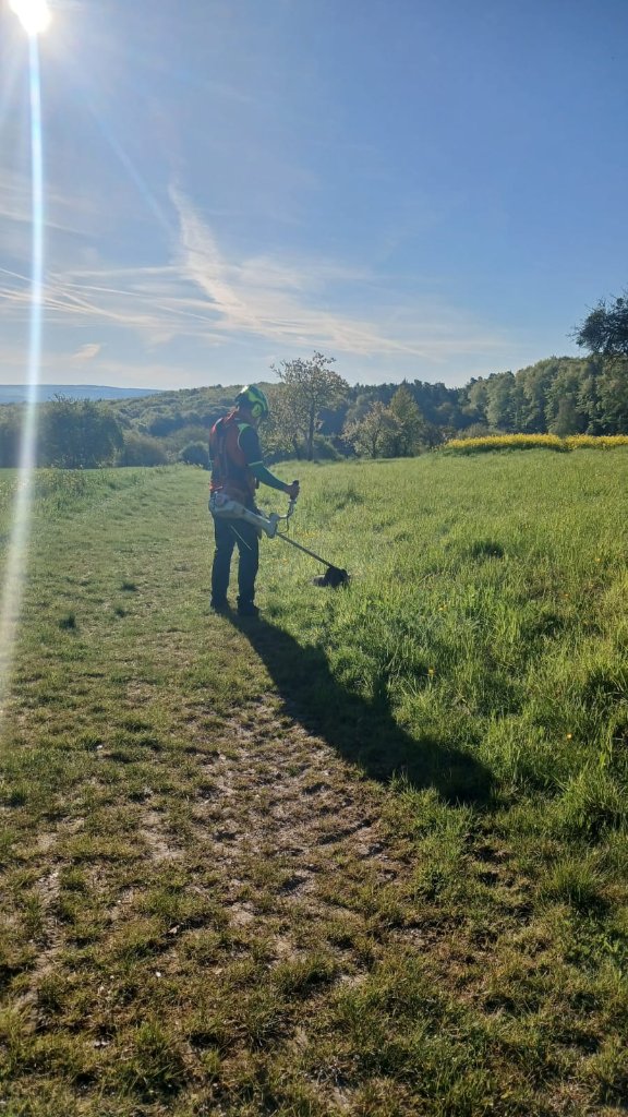 Freischneider-Einsatz auf offener Wiese