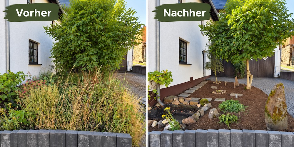 Gartenneugestaltung – Vorher-Nachher-Vergleich mit Mulch und Bepflanzung