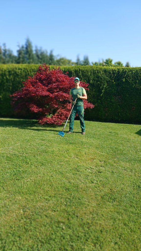 Gartenpflege mit Rechen auf gepflegtem Rasen