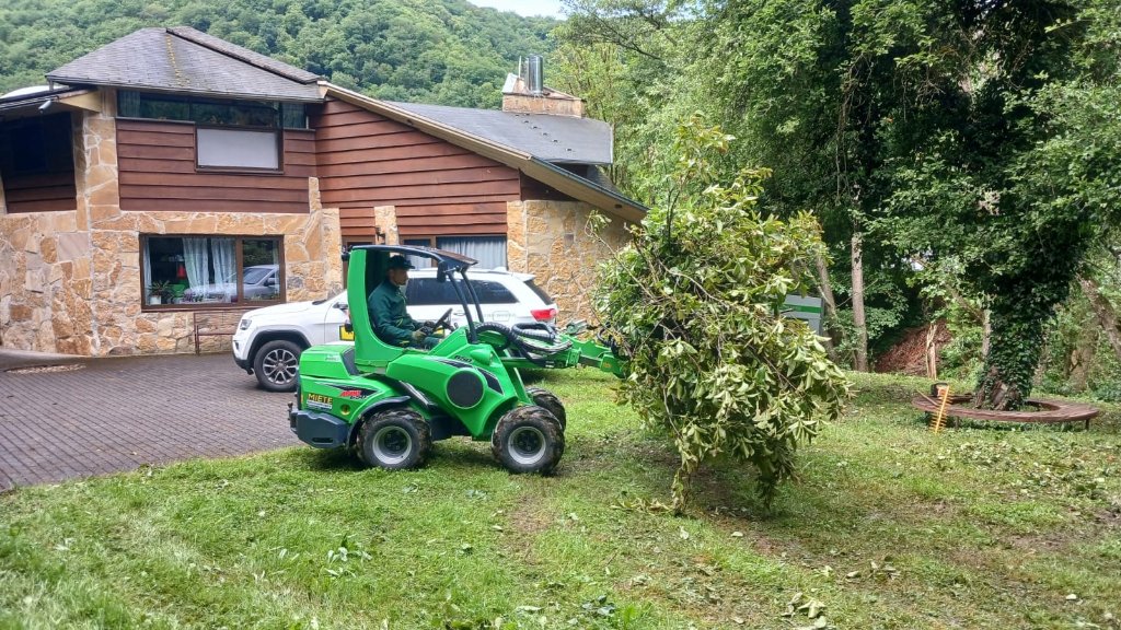 Avant-Lader greift Astmaterial bei Baumarbeiten