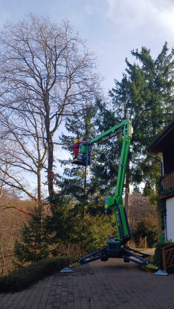 Hubsteiger-Einsatz bei der Baumpflege